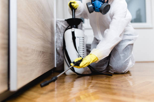 Best Affordable Pest Control Services  in Bedford, TX