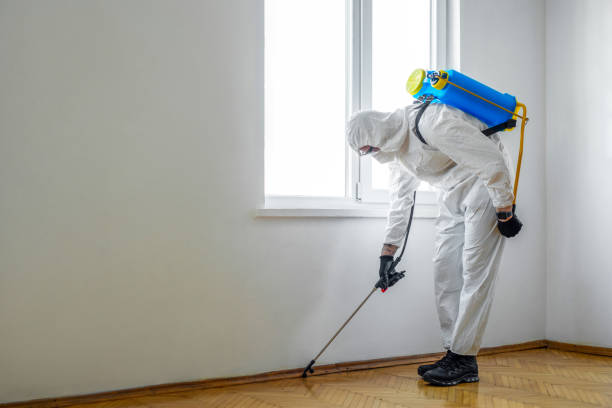 Best Local Pest Control Services  in Bedford, TX
