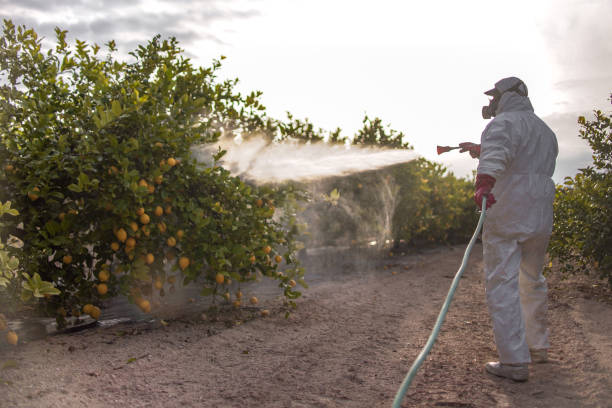 Professional Pest Control in Bedford, TX