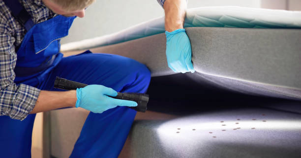 Best Best Pest Control Companies  in Bedford, TX