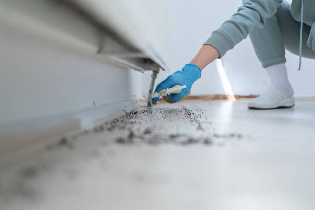 Best Best Pest Control Companies  in Bedford, TX