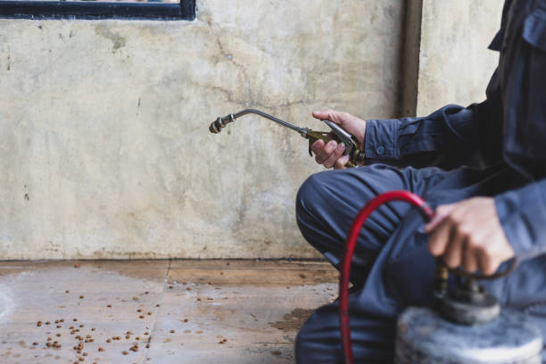 Best Best Pest Control Companies  in Bedford, TX
